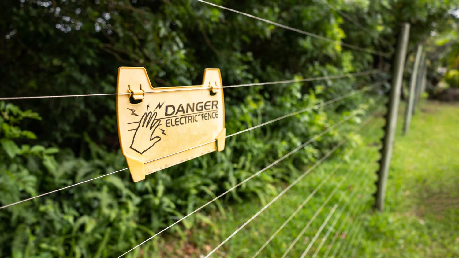 Electric Fencing